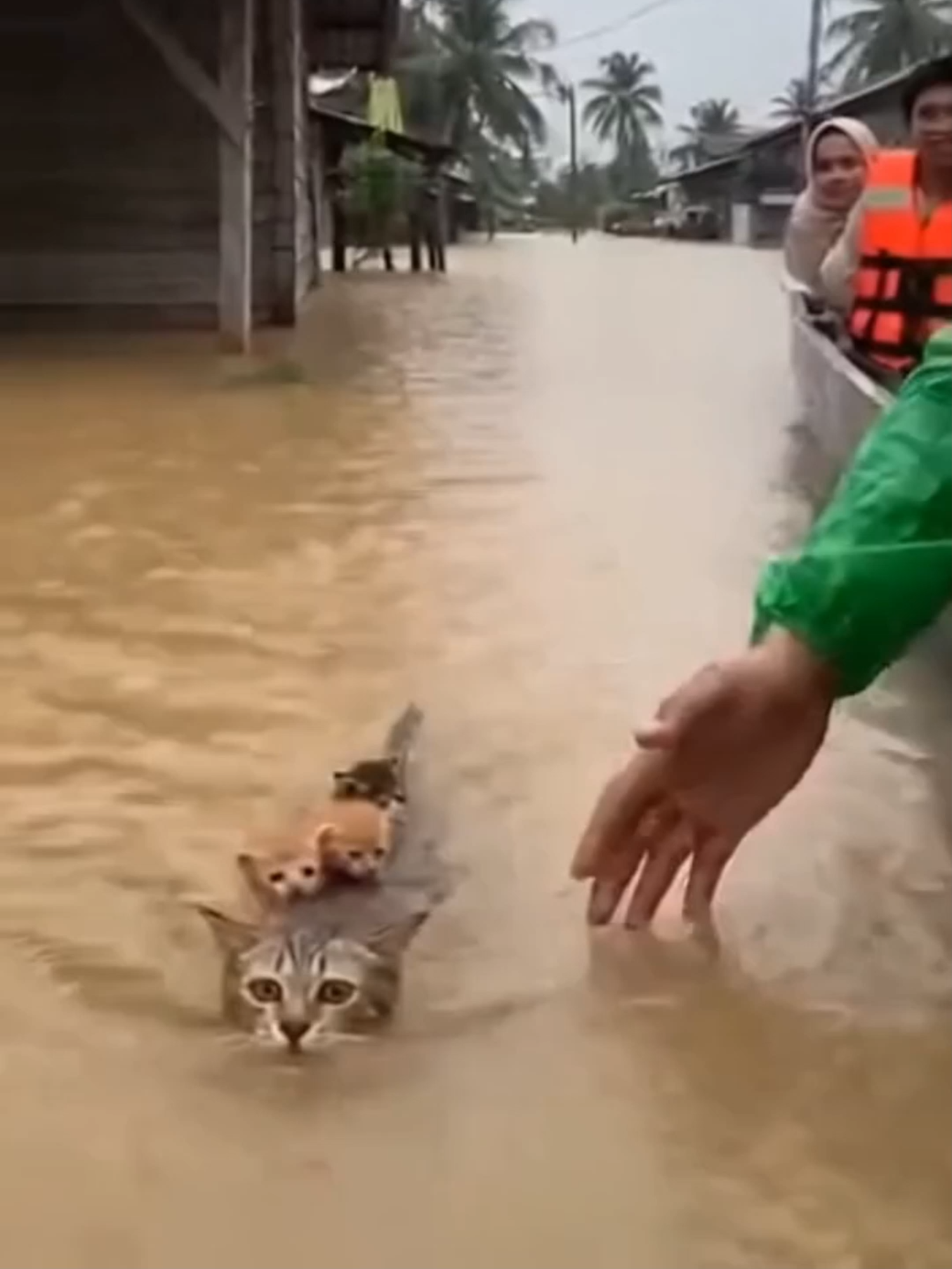 MasyaAlloh....Mengharukan!!! #prayforsumatra