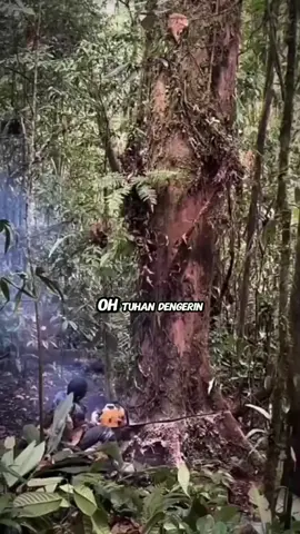 #savesumatra #bajirbandang  #story #alrabbani683 