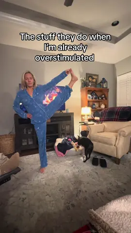 POV: mom is blaring fake AI videos in the recliner, ambiance is on the tv clearly getting ignored, sister is doing midnight yoga poses in pjs & Finny is raging with a peppermint schnapps toy on this Black friday, reminding me of indoor recess chaos  #overstimulated #pov #familytime #teachersoftiktok 