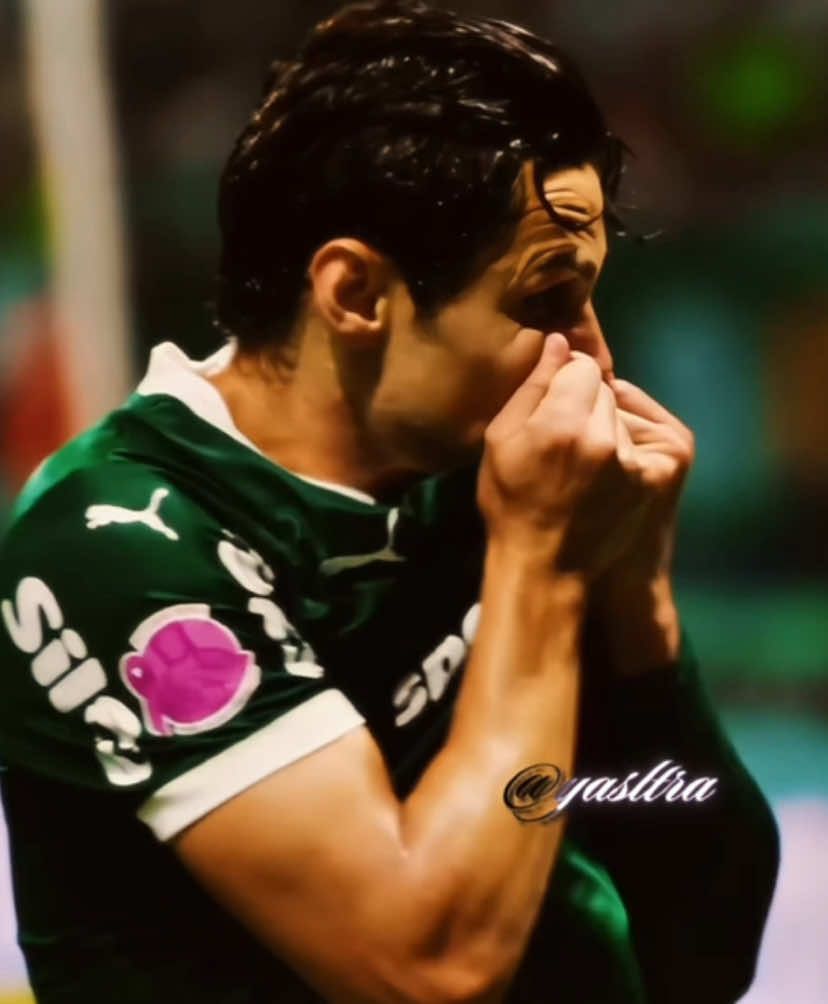 Libertadores: Obsessão | É hoje! 💚 | #palmeiras #palmeirasminhavidaévocê #fyp #vaiprofycaramba #libertadores 