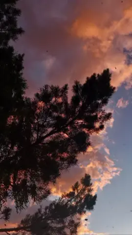 Uyire uyire oru naal Unarvai enaiye🥹💙✨ #sidusidu #musiclyrics #fyppppppppppppppppppppppp #fypシ゚ #lovesongcovers 