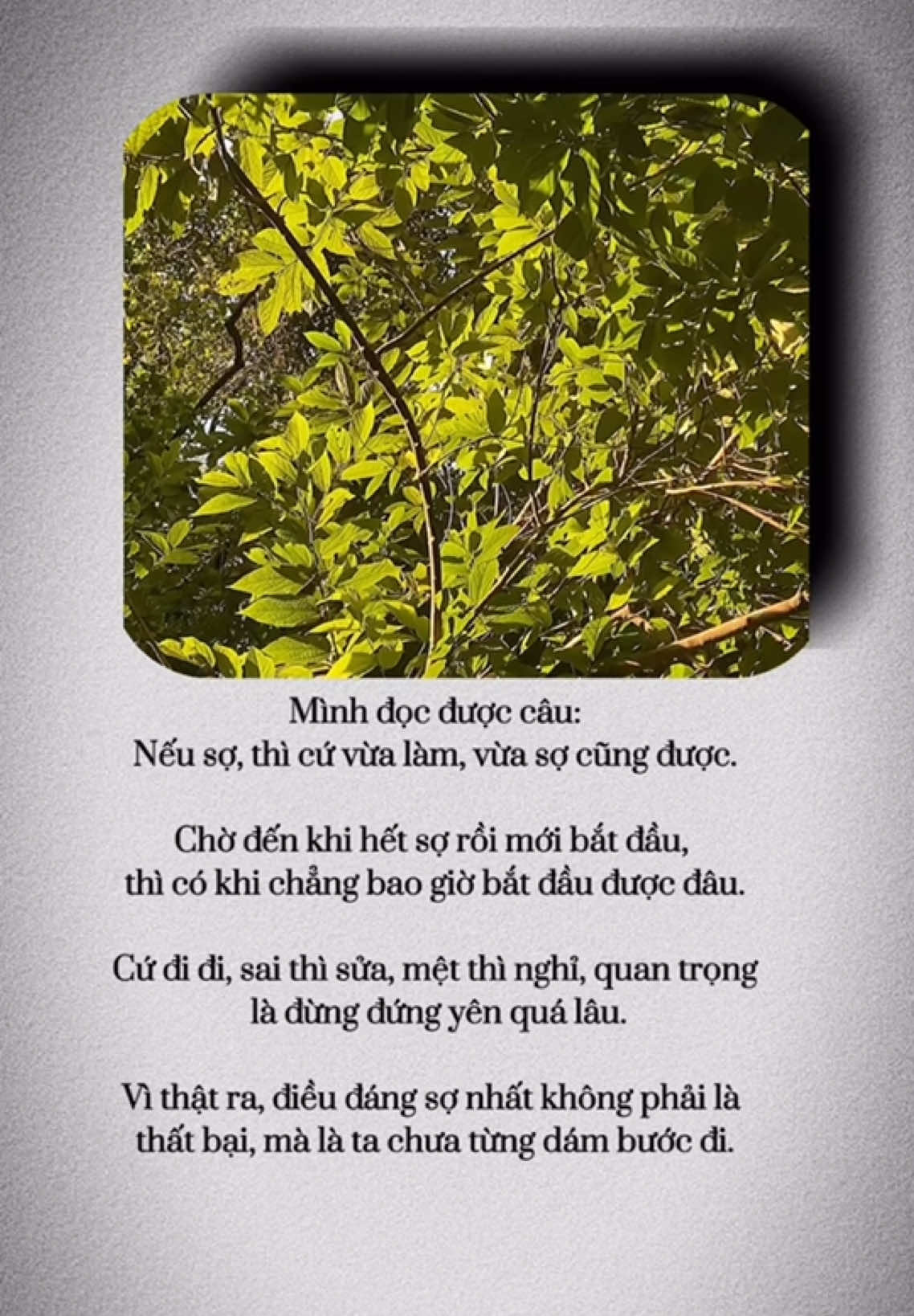 Mình đọc được câu: Nếu sợ, thì cứ vừa làm, vừa sợ cũng được. Chờ đến khi hết sợ rồi mới bắt đầu, thì có khi chẳng bao giờ bắt đầu được đâu. Cứ đi đi, sai thì sửa, mệt thì nghỉ, quan trọng là đừng đứng yên quá lâu. Vì thật ra, điều đáng sợ nhất không phải là thất bại, mà là ta chưa từng dám bước đi.
