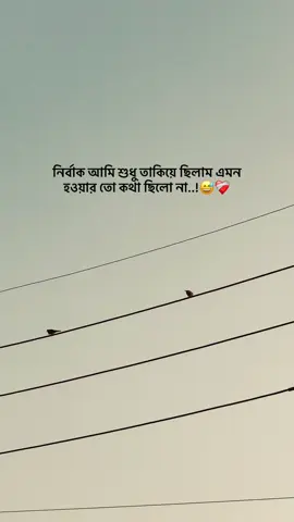 নির্বাক আমি শুধু তাকিয়ে ছিলাম এমন  হওয়ার তো কথা ছিলো না..!😅❤️‍🩹 #foryou  #the_spydoo 