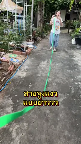 #สายจูงแมว #สายจูงสัตว์เลี้ยง #สายจูงสุนัข #อบอุ่นชอบอยู่บ้าน #happycozy 