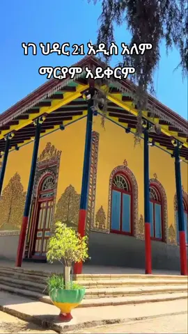 #አዲስ_አለም_ዳግሚት_ፂሆን_ማርያም #ህዳር21አይቀርም #ያከበርከኝ_የድንግል_ማሪያም_ልጅ_ተመስገንልኝ🙏 #ኪድዬ_እናቴ_ቀሪ_ዘመኔን_አንቺ_ባርኪልኝ_🙏 