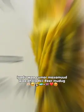 xoral ceynta❤️#CapCut #foryoupage❤️❤️ #puntlander🇸🇱 #reerxirsifaarax🇸🇱🔫🦁 #cumarmaxamuud🇸🇱🔫🦁 @ruweıda🩷• 
