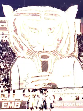 Tutor bikin koreo ada di Persija #theJak  #tigapoin#Persijajakarta #macankemayoran  #fypシ゚ 