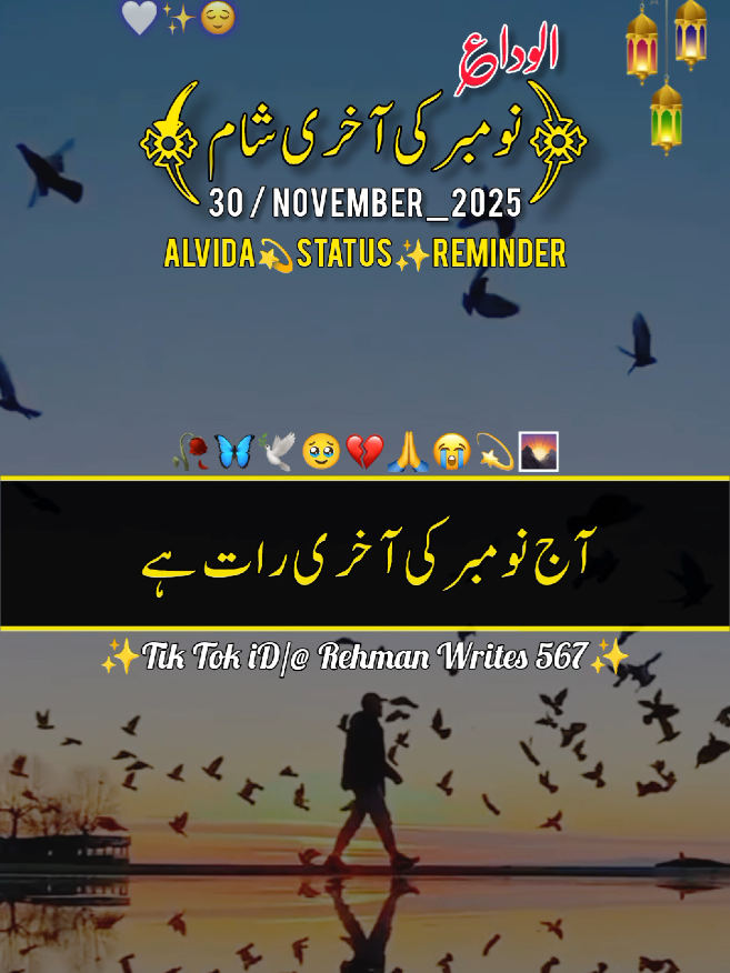 آج نومبر کی آخری رات ہے  ALVIDA NOVEMBER🥀🦋🕊️🥹💔🙏😭💫🌄 (30 Nov 2025) STATUS REMINDER  #goodbay_alvida_November2025 #trending_viralvideo #viralaccount #whatsappstatus #1millionaudition  @RehmanWrites567 