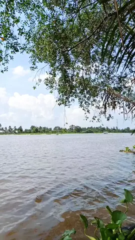 #cảnhđẹp#tiếnđànhay#việtnamtiktok🌹💯🌹💯🌹💯🌹💯🌹💯🌹💯🌹💯🌹💯🌹💯🌹💯🌹 