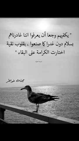 #CapCut #هاشتاقات_تيك_توك_العرب #uae🇦🇪 #العربية_بالشكل_الجديد #العرب_اسطورة 