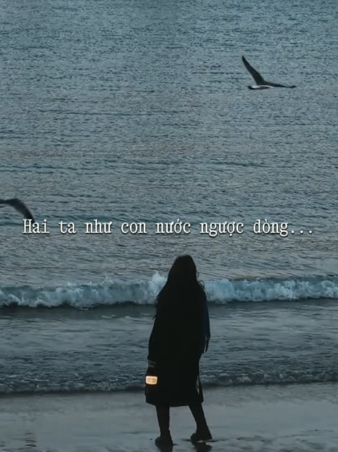 Khi thương ai cũng dốc hết lòng...#nhachaymoingay #nhacviet #xuhuongtiktok #lyrics #music 