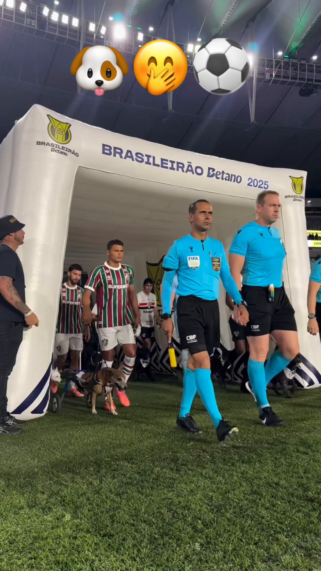 Fluminense realizó una campaña con perritos para que los adopten, por lo que los jugadores titulares saltaron al campo con ellos, a excepción de uno de los jugadores que salió con uno imaginario.🤭🐶 #perritos, #fliminense #futebol #brasilerao(Vía @fluminensefc/IG)