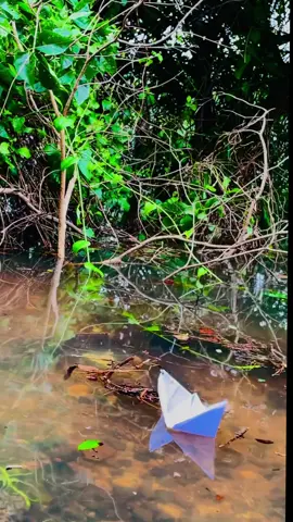 #srilanka #Hilight #follow #Rainyda #Trincomalee 