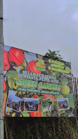 ready stok🍏🍎 📍WISATA PETIK APEL GREEN GARDEN ☎️082231515269 #wisatapetikapel #greengardarden #wisatapetikapelbatu #fyp #foryou 