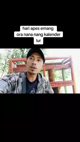 #creatorsearchinsights aki bisa ilang karo toa