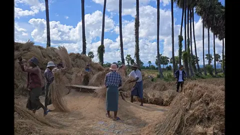 #khundana #မွေးရပ်ဌာနေ#fyppppppppppppppppppppppp #contentcreator 