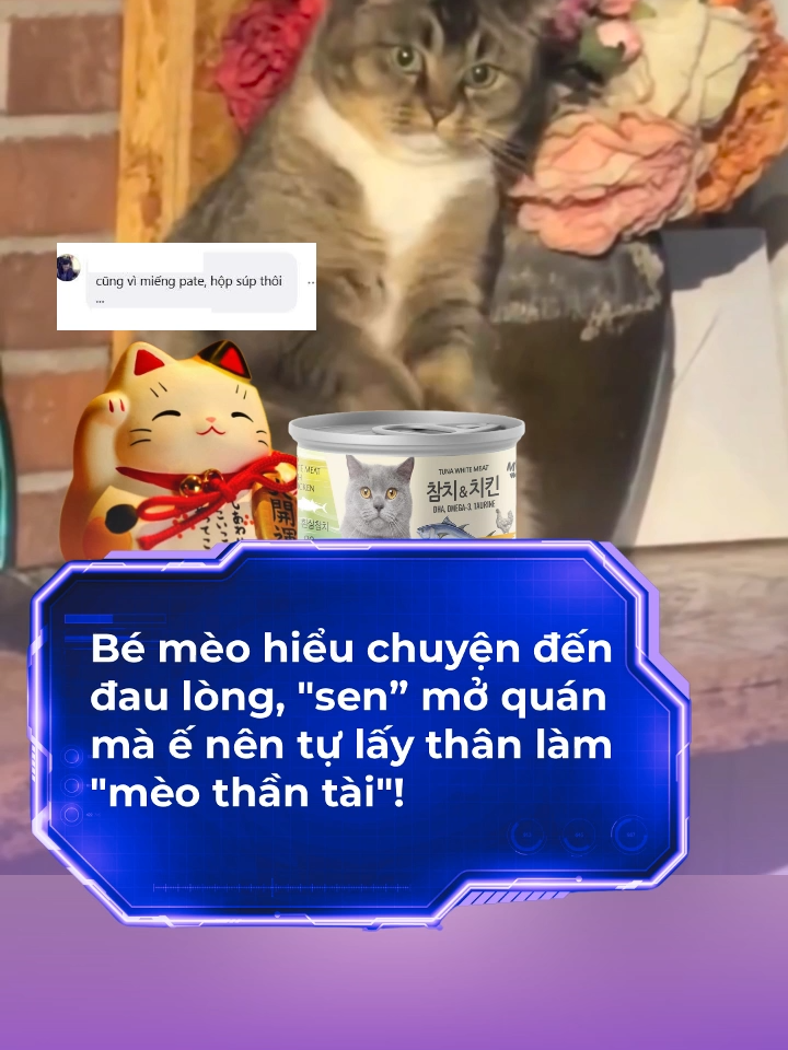 Bé mèo hiểu chuyện đến đau lòng, biết 