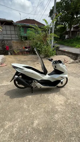 🔥🥵#pcxthailnadstyle🇹🇭 #madurastyle #ringtujuhbelas 