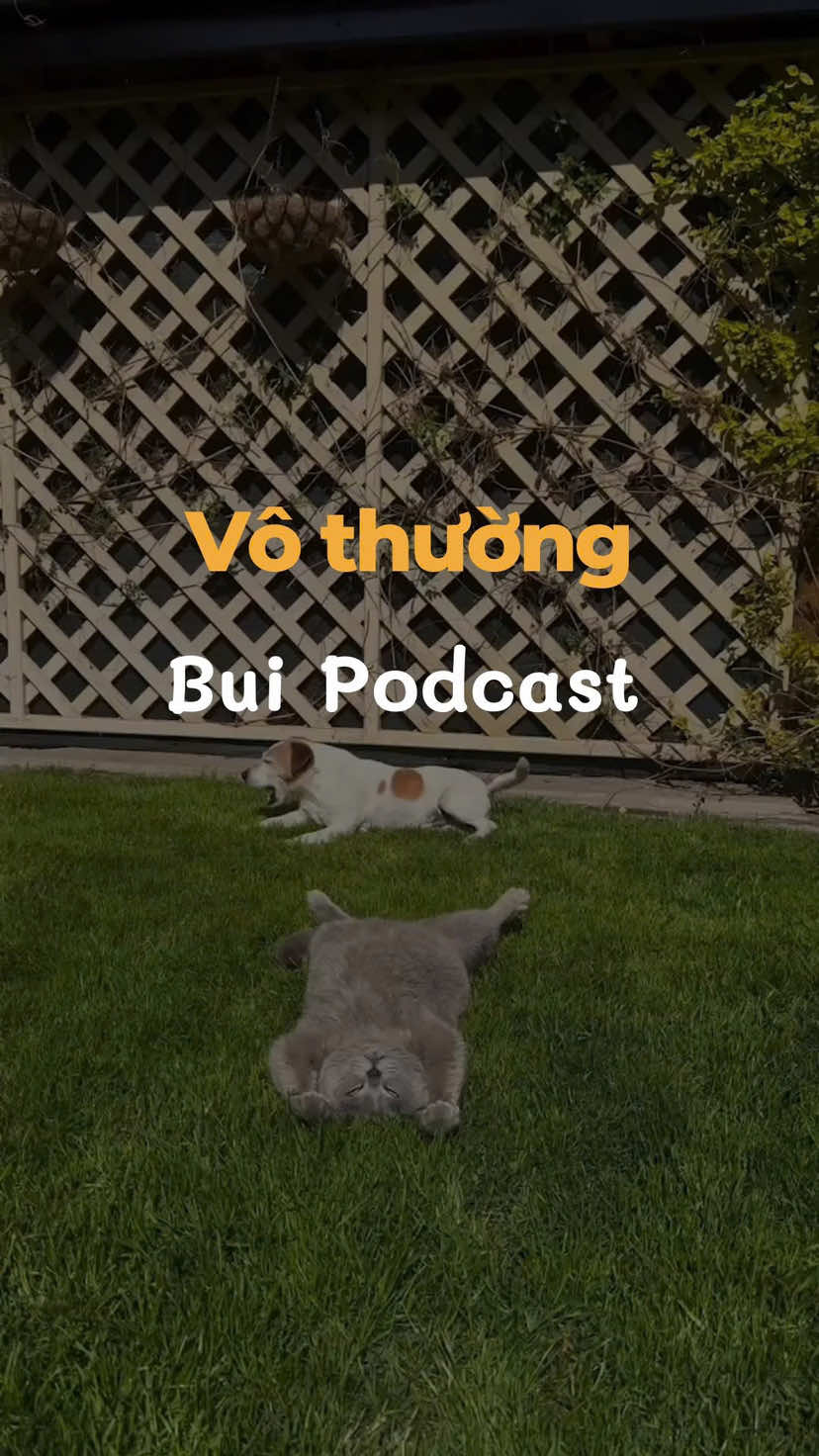 Không phải mối quan hệ nào tốt đẹp cũng sẽ ở lại mãi… nhỉ #podcast #chualanh #tamtrangbuon #tamsu #buipodcast 
