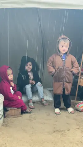 ##gaza #gazaunderattack #gofundme #plastine🇵🇸 #حمادة_الشواف 