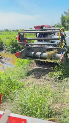 Thân anh nghèo #fbnguyennhi📸🎀 #mientayquetoi🌾🌾🌾🌾 