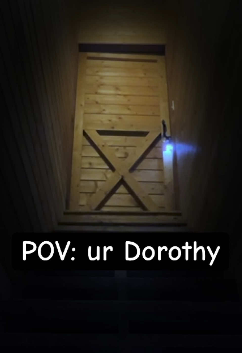 Bro, Elphaba had NO reason to be doin’ all o’ ‘dat. Like, WHAT did Dorothy even do wrong this whole time? I feel weirdly maternal for the Dorothy character sometimes so when Elphaba had her locked in the basement I was lowkey super ticked off. You could even hear Dorothy crying and apologizing to Elphaba, CLEARLY showing that she wanted to comply, if she COULD! Her shoes are literally magically locked to her feet, what is she gonna do about that? #wickedmovie #wicked #elphaba #thewizardofoz #thewickedwitchofthewest 