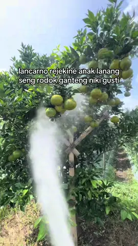 aminn🥺#putratanigank #tanimleni #fyp #xyzbca #beranda 