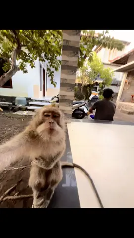 Tidak bisa ber kata”#fyp #fypシ゚ 