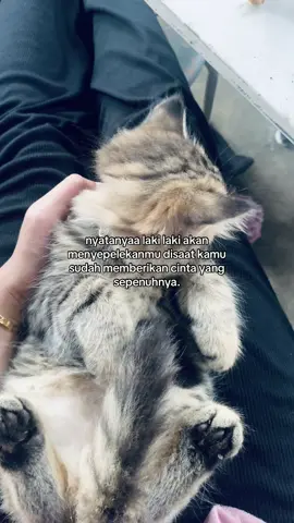 aku kurang apa ya?#foryoupage 