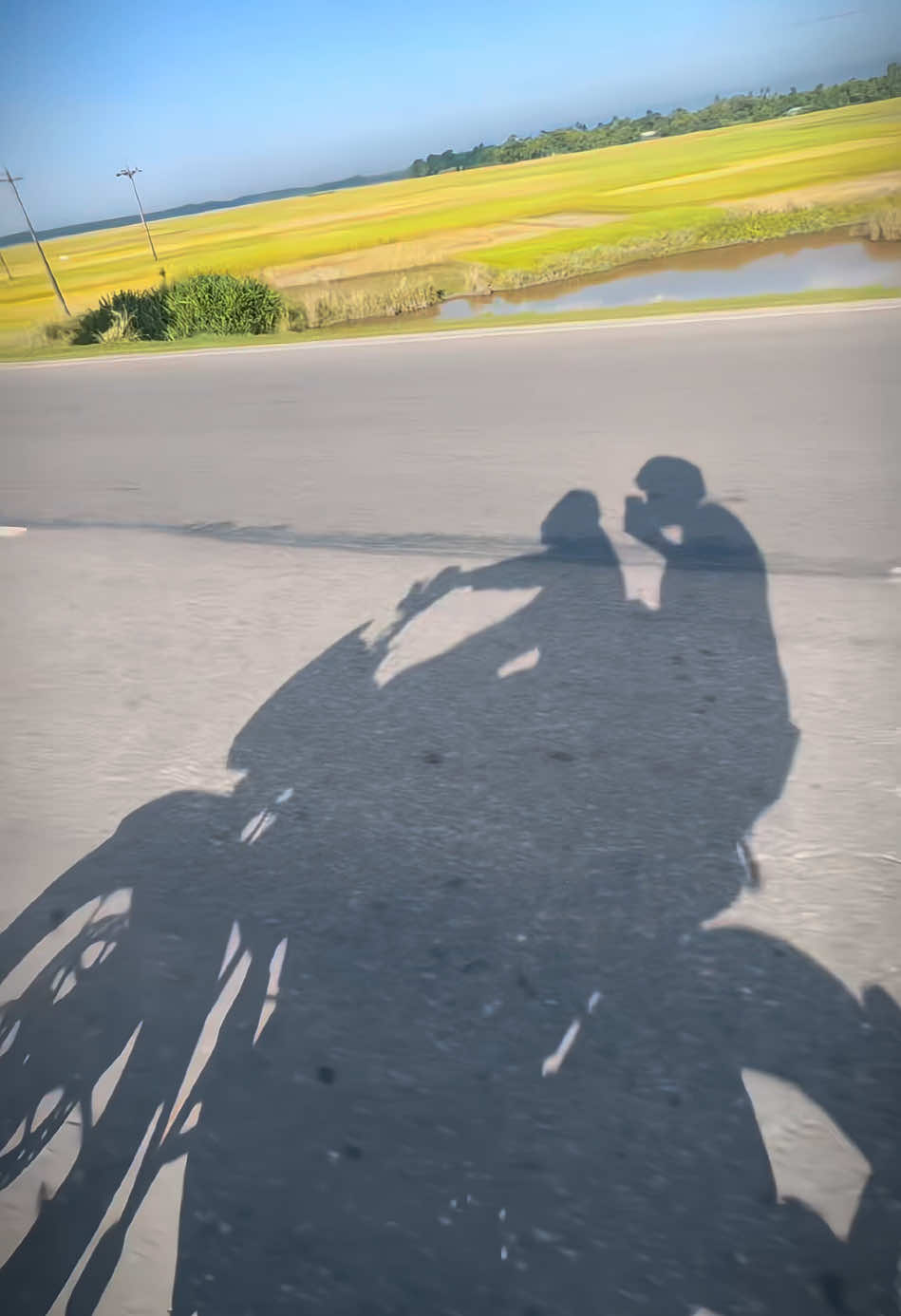 Bhai @Saifur_🐊_Joy ❤️