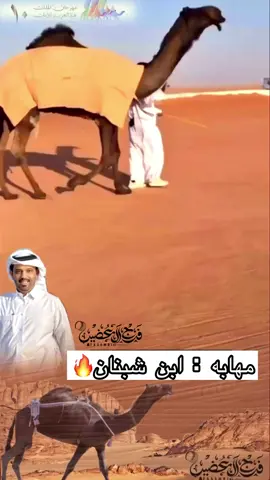 مهابه بن شبنان#الصياهد #ال_مره #foryou #المجاهيم #اكسبلور 