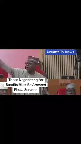 Those Negotiating For Bandits Must Be Arrested First... Senator ##fyp #news #nigeria 