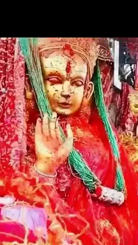 #taplejung_muser♡🍁💟 #pathivaramata❤🙏 #pathivara #pathivaramata❤🙏 