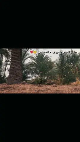 # بنص اهلـّي وادوَر وادم اتحبنـي.، 🙁💔 #عباراتكم💔🙁؟؟  #المصورحيدرالجميلي🎥 