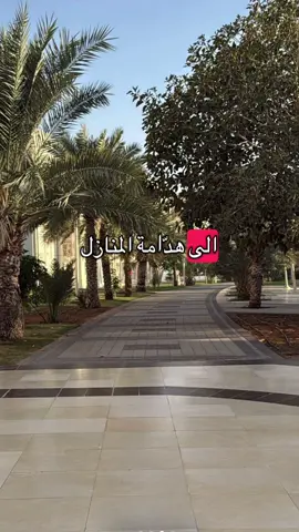 #الشعب_الصيني_ماله_حل😂😂 #اكسبلور #جامعة_الشرقية #fyp #عمان 