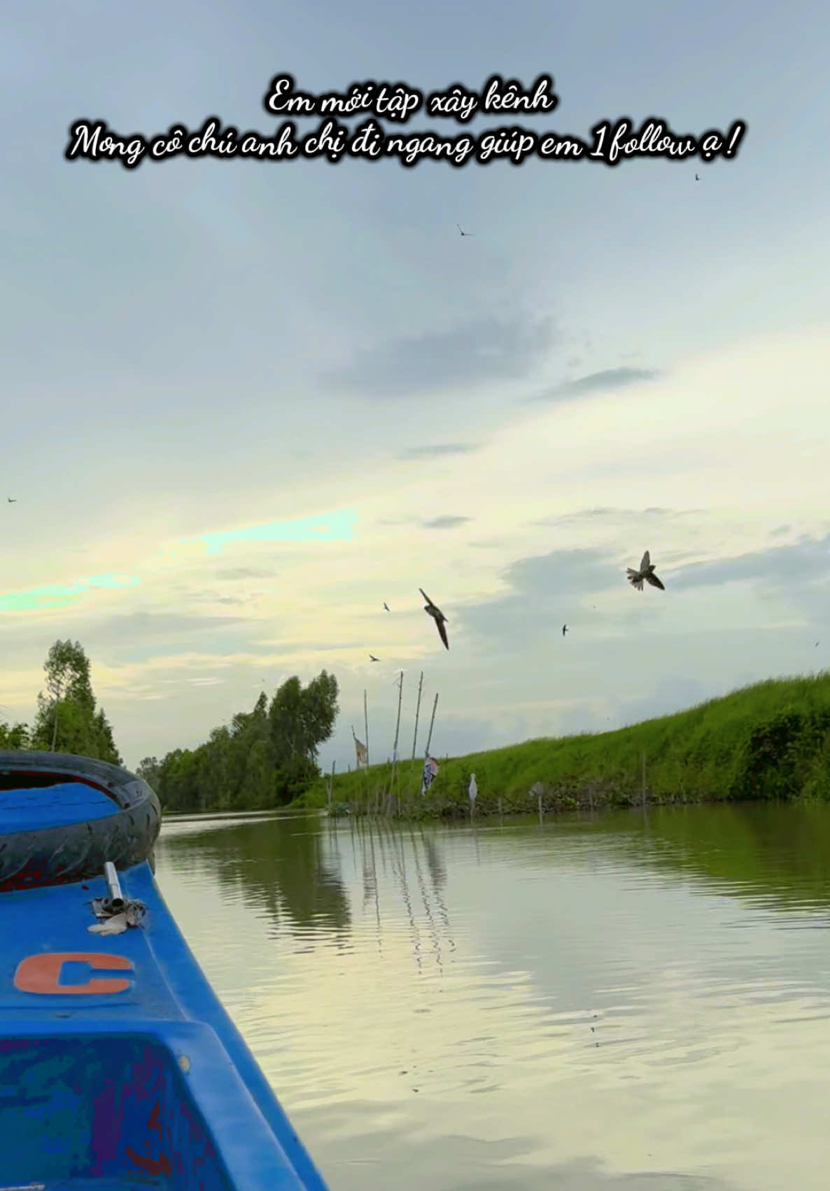 em mới tập xây kênh, mong cô chú anh chị và các bạn đi ngang giúp em 1 follow ạ! Em xin cảm ơn nhiều ạ!#xaykenhtiktok #tapxaykenh24h #tapxaykenhtiktoklamtiepthilienket #ttlk #tapxaykenh 