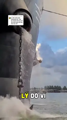 Trả lời @usss1992 mỏ neo ko hoạt động như cách mọi người vẫn nghĩ #ilovetiktok #viral #xuhuong #fyp #trending 