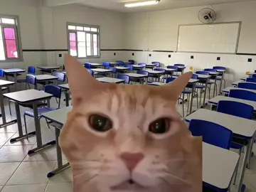 TODOS os caminhos te levarão a reprovação #fyp #naoflopa #escola