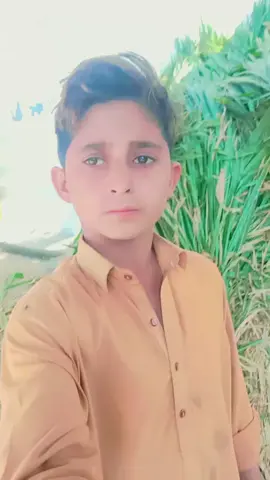 shahpar💞💞20000