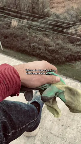 Qaydası Var Qanunu Var…”#ucaheff🍷 