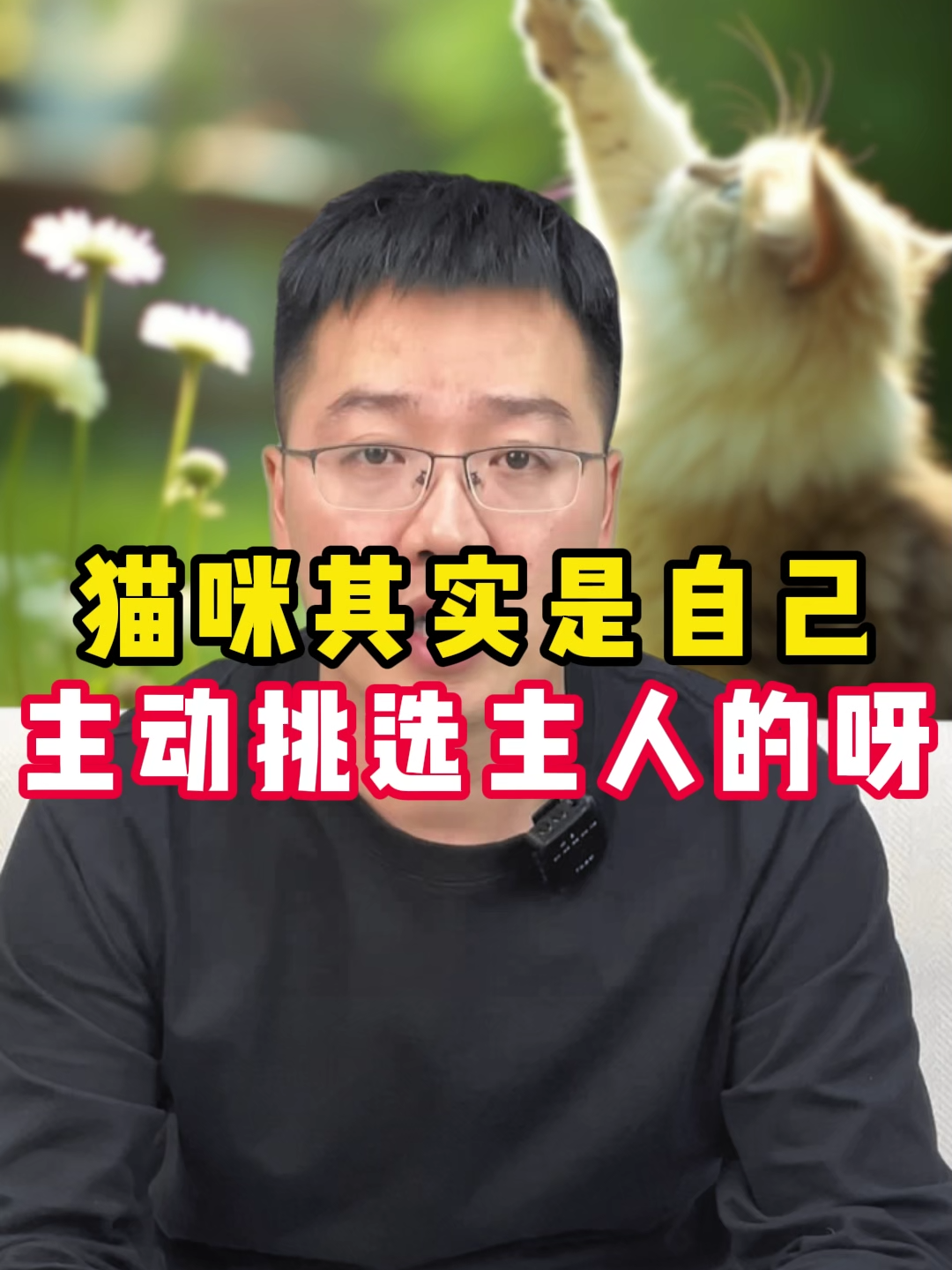 猫咪其实是自己主动挑选主人的呀？#新手養貓 #養貓日常 #貓咪日常 #爱猫咪 #cats #猫 #cat