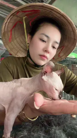 #meohay ham ăn quá nên mũi còn dính lọ nghẹ 