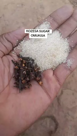 #foryou #fyp #fyyyyyyyyyyyyyyyy #for #fypage 