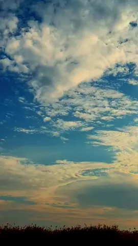 ردتك حيل ماردت عكازه 🥺💔#شعراء_وذواقين_الشعر_الشعبي🎸 #تصميم_فيديوهات🎶🎤🎬 #ذواقين__الشعر_الشعبي #npr1🌚 #تصميم_فيديوهات🎶🎤🎬تصميمي🔥 