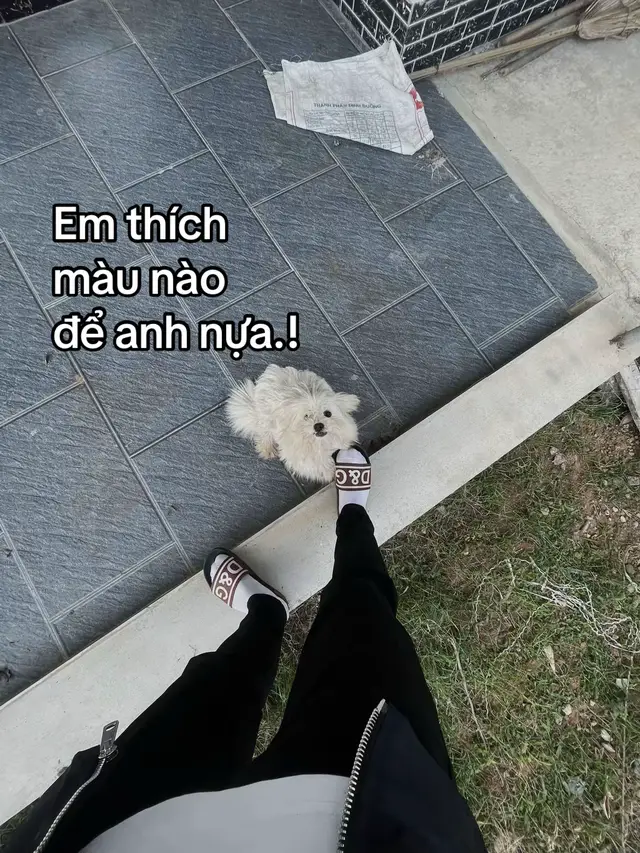 #mailisa #sieuxe #viral #xh 