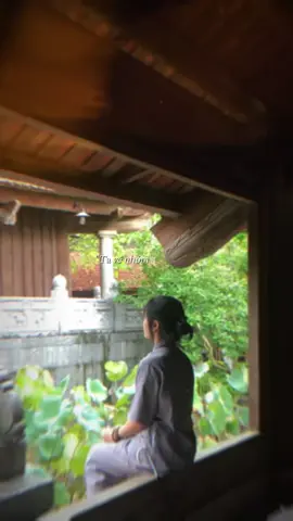 Bình yên ☺️🙏🏻🪷#CapCut #nammobonsuthichcamauniphat #namquantheambotat🙏🙏🙏 #nammoadidaphat #chuabutthap 