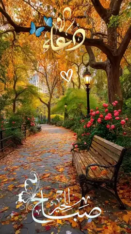 #دعاء_الصباح #دعاء_يريح_القلوب #دعاء_مستجاب #دعاء#صباح_الخير 