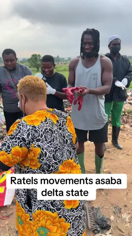 Asaba please come out we need more hands @verydarkblackman @mac_avelli001 @mazitundeednut #ratel #fypシ゚viral🖤tiktok #foryoupage❤️❤️ #viral_video 