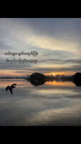 တစ်နေ့မှာ ရုတ်တရက်ကြီး ငါသူ့ကို မလိုချင်တော့ဘူး ဆိုတဲ့ ခံစားချက် ဖြစ်လာတယ်။ ထူးတော့ထူးဆန်းတာပေါ့ … အချိန်တွေ တော်တော်ကြာ သည်အထိ သူက ငါ့ဘဝအတွက် အရာရာပဲလို့ ထင်မှတ် နေခဲ့တာလေ။ သူ့ ရင်ခွင်ထဲမှာ ဘယ်လောက်တောင် လုံခြုံနွေးထွေးမှုကို ခံစားရစေခဲ့လဲဆိုတာတွေ၊ အတူသွားခဲ့တဲ့ နေရာတွေ၊ အသက်ဝင်နေသလား ထင်ရတဲ့ ဓာတ်ပုံအဟောင်းတွေ … ပြီးတော့ သူ့ကြောင့် ကျခဲ့ရတဲ့ မျက်ရည်တွေ …အားလုံး ကို သတိရမိတယ်။ သန်းခေါင်ယံကျော်သည်အထိ အိပ်မပျော်ခဲ့ရတဲ့ ညတွေမှာ နှလုံးသားဟာ ခန္ဓာကိုယ်ရဲ့ အလေးလံဆုံး သော အစိတ်အပိုင်းပဲ။ အချစ်ဆိုတာ ဒီလိုခံစားငိုကြွေးနေရတဲ့ အိပ်ပျက်ညတွေ မဟုတ်ကြောင်း ထပ်ဖန်တလဲလဲ ရေရွတ်ရင်း … လူတစ်ယောက်အပေါ် ချစ်ခဲ့မိတဲ့ အချစ်တွေကို နေ့ချင်းညချင်း ရပ်တန့်ပစ်နိုင်သွားတာမျိုး မဟုတ်ပေမယ့် မှန်ထဲက မျက်ရည်စက်တွေကို နှစ်သိမ့် ပေးနိုင်ဖို့ ကိုယ့်ကိုယ်ကို ပို ချစ်ပေးရမှာပါလား လို့ ပြန်တွေးမိတယ်။ ဆရာမင်းခိုက်စိုးစန်က ပြောတယ် … အချစ်ဆိုတာ မင်းကို သ(တ်) ဖို့လုံလောက်တဲ့ စွမ်းအင်ကို လူ တစ်ယောက်ရဲ့ လက်ထဲ ထည့်ပေးပြီး သူမင်းကို မသ(တ်) ပစ်ပါဘူးလို့ ယုံကြည်နေရခြင်းပါပဲ တဲ့။ အခုတော့ မင်းကို ချစ်တတ်အောင် သင်ပေးရမယ့်အစား ကိုယ့်ကိုယ်ကိုပဲ မချစ်သင့်တာကို မချစ်မိအောင် ဆုံးမ ပေးရတော့မယ်။ ချစ်နေရခြင်းကို ဖယ်ကြည့်လိုက်ရင် အရာအားလုံးက ဒဏ်ရာတွေ ဆိုတာကိုတော့ ဆရာ အောင်ချိမ့်နဲ့အတူ အပြည့်အဝ လက်ခံလိုက်ပြီ။ ဒါပေမယ့် … ကိုယ်ကတော့ အကြိမ်ပေါင်းများစွာ ရှိုက်ကြီးတငင် ငိုခဲ့ပါတယ်။ နာလွန်းတဲ့အခါ ကလေးတစ်ယောက်လို ငိုခဲ့ပြီး အရေထူသွားတဲ့ပုံစံတူ အမှားတွေကိုတော့ အကယ်ဒမီရလောက်တဲ့ မျက်ရည် ပမာဏနဲ့ တုံ့ပြန်ခဲ့တယ်။ အဲ့ဒီအချိန်တွေမှာသာ တစ်ယောက်ယောက်က ဘဝမှာဘယ်အရာကို မလိုချင်ဆုံးလဲ လို့ မေးခဲ့ရင် မျက်လုံးတွေ ဖူးယောင်နေသလားဆိုတာ သိရဖို့ မနည်းဖွင့်ကြည့်ခဲ့ ရတဲ့ မနက်ခင်းတွေပဲ လို့ ဝန်ခံမိမှာပါ။ I want to sleep without any fight and argument#crd 