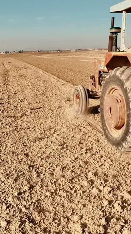 #fyppppppppppppppppppppppp #فلاحين #فولفو @ابو وسيم العبيدي @امجد العبيدي(⚜️千) @حمزاوي العبيدي @مدين العبيدي @كرم العبيدي @أبن ألريف 